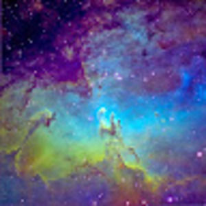 Meet your Posher, Landon